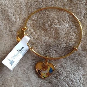 Limited edition Disney parks Alex and Ani